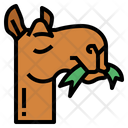 پیش‌نمایش فایل eating-camel-7105578 از پک Camel