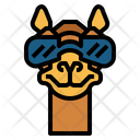 پیش‌نمایش فایل funny-camel-7105573 از پک Camel