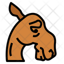 پیش‌نمایش فایل sad-camel-7105583 از پک Camel