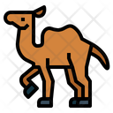 پیش‌نمایش فایل walking-camel-7105563 از پک Camel