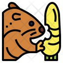 پیش‌نمایش فایل hamster-7091991 از پک هامستر