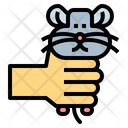 پیش‌نمایش فایل hamster-7091997 از پک هامستر