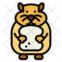 پیش‌نمایش فایل hamster-7092004 از پک هامستر