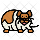 پیش‌نمایش فایل hamster-7092008 از پک هامستر