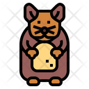 پیش‌نمایش فایل hamster-7092010 از پک هامستر