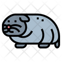 پیش‌نمایش فایل hamster-7092011 از پک هامستر