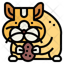 پیش‌نمایش فایل hamster-7092012 از پک هامستر