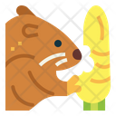 پیش‌نمایش فایل hamster-7092063 از پک هامستر