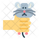 پیش‌نمایش فایل hamster-7092069 از پک هامستر