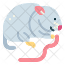 پیش‌نمایش فایل hamster-7092079 از پک هامستر