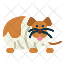 پیش‌نمایش فایل hamster-7092080 از پک هامستر