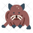 پیش‌نمایش فایل hamster-7092081 از پک هامستر