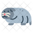 پیش‌نمایش فایل hamster-7092083 از پک هامستر