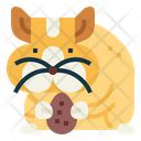 پیش‌نمایش فایل hamster-7092084 از پک هامستر