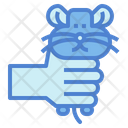 پیش‌نمایش فایل hamster-7092105 از پک هامستر