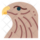 پیش‌نمایش فایل buzzard-7092317 از پک Poultry