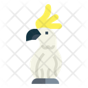 پیش‌نمایش فایل cockatoo-7092318 از پک Poultry