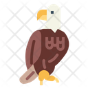 پیش‌نمایش فایل eagle-7092322 از پک Poultry