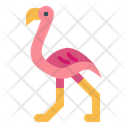 پیش‌نمایش فایل flamingo-7092324 از پک Poultry