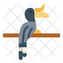 پیش‌نمایش فایل hornbill-7092327 از پک Poultry