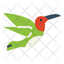 پیش‌نمایش فایل hummingbird-7092329 از پک Poultry