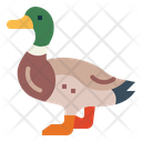 پیش‌نمایش فایل mallard-7092332 از پک Poultry