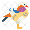 پیش‌نمایش فایل mandarin-duck-7092333 از پک Poultry