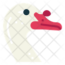 پیش‌نمایش فایل muscovy-duck-7092334 از پک Poultry