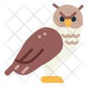 پیش‌نمایش فایل owl-7092336 از پک Poultry