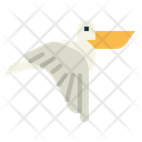 پیش‌نمایش فایل pelecanus-7092339 از پک Poultry
