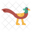 پیش‌نمایش فایل pheasant-7092341 از پک Poultry