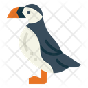پیش‌نمایش فایل puffin-7092342 از پک Poultry