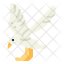 پیش‌نمایش فایل seagull-7092344 از پک Poultry