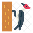 پیش‌نمایش فایل woodpecker-7092349 از پک Poultry
