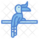 پیش‌نمایش فایل hornbill-7092363 از پک Poultry