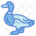 پیش‌نمایش فایل mallard-7092368 از پک Poultry