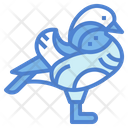 پیش‌نمایش فایل mandarin-duck-7092369 از پک Poultry