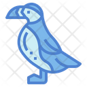 پیش‌نمایش فایل puffin-7092378 از پک Poultry