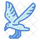 پیش‌نمایش فایل seagull-7092380 از پک Poultry