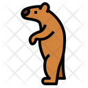 پیش‌نمایش فایل bear-7104092 از پک خرس