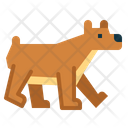پیش‌نمایش فایل bear-7104154 از پک خرس