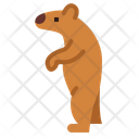 پیش‌نمایش فایل bear-7104164 از پک خرس