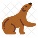 پیش‌نمایش فایل bear-7104178 از پک خرس