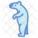 پیش‌نمایش فایل bear-7104200 از پک خرس