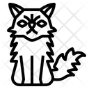 پیش‌نمایش فایل persian-cat-7119761 از پک نژادهای گربه