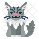 پیش‌نمایش فایل maine-coon-cat-7119791 از پک نژادهای گربه