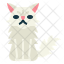 پیش‌نمایش فایل persian-cat-7119797 از پک نژادهای گربه