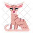 پیش‌نمایش فایل peterbald-cat-7119798 از پک نژادهای گربه