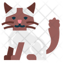 پیش‌نمایش فایل ragdoll-cat-7119800 از پک نژادهای گربه