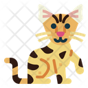 پیش‌نمایش فایل savannah-cat-7119801 از پک نژادهای گربه